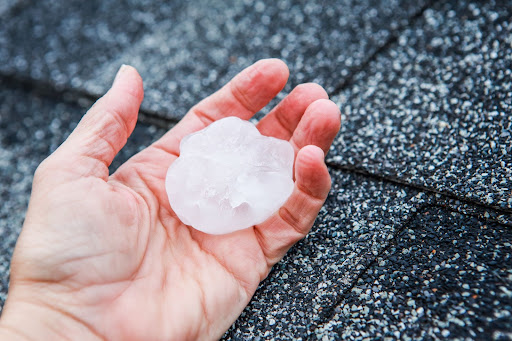 A Man's Hand Holds A Piece of Hail Against the Backdrop of Roof Shingles