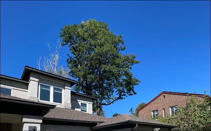 Roofing services Denver Denver roofing contractors Roof repair Denver Roof replacement Denver Residential roofing Denver Commercial roofing Denver Denver roof inspection