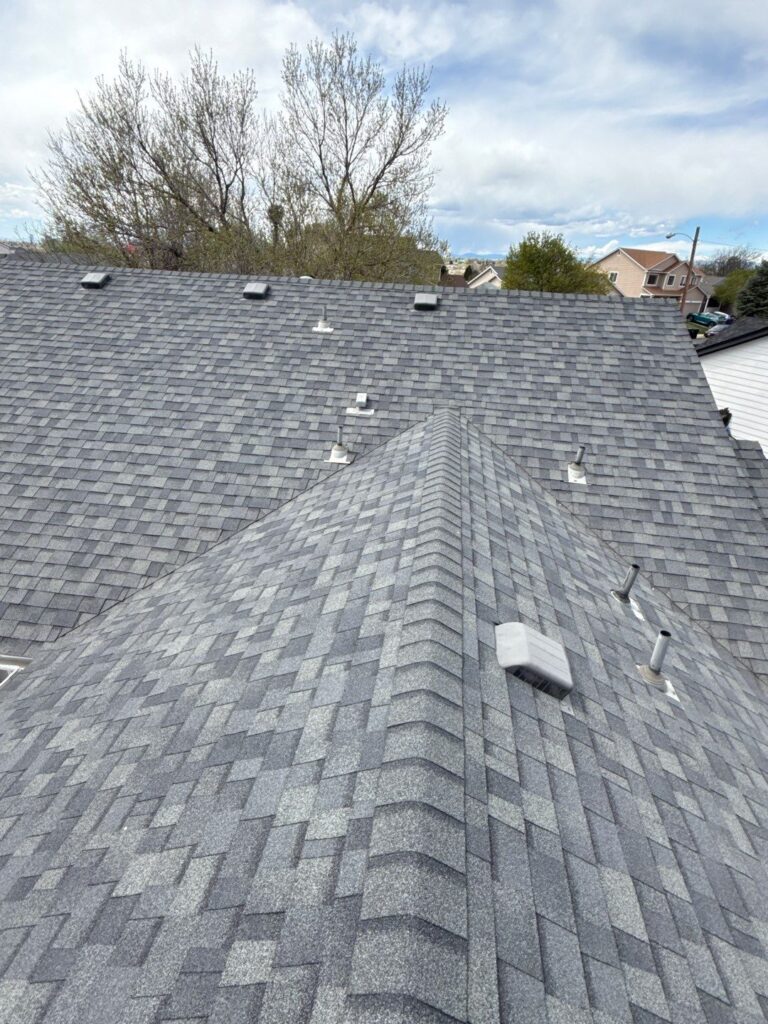 Shingle Denver Roof